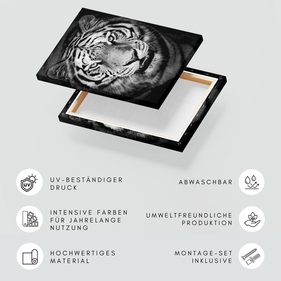 Obraz na płótnie - tygrys, zwierzę, drapieżnik