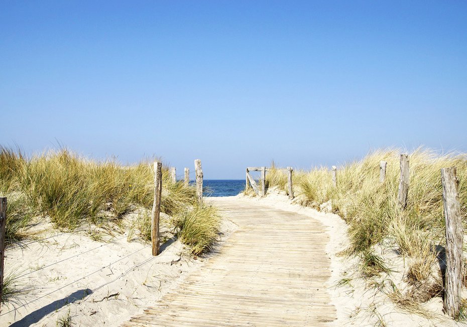 Fototapeta - plaża, morze, ścieżka