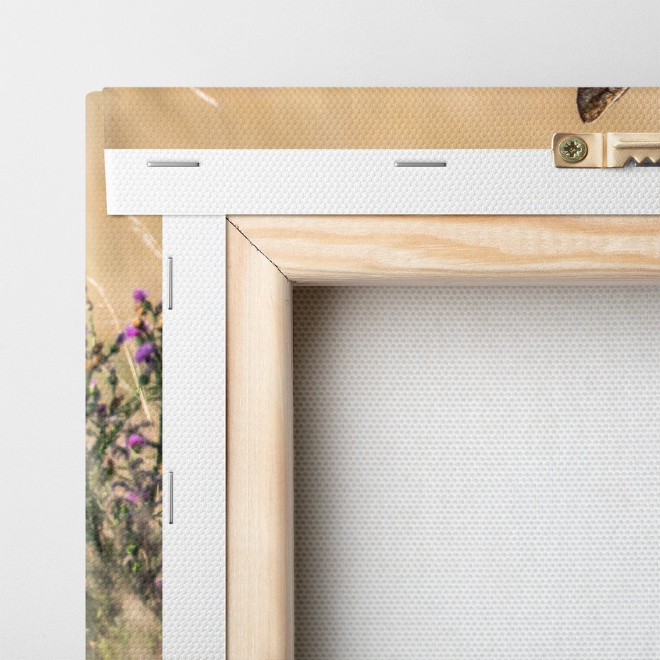 Obraz na płótnie - jeleń, kwiaty, trawa