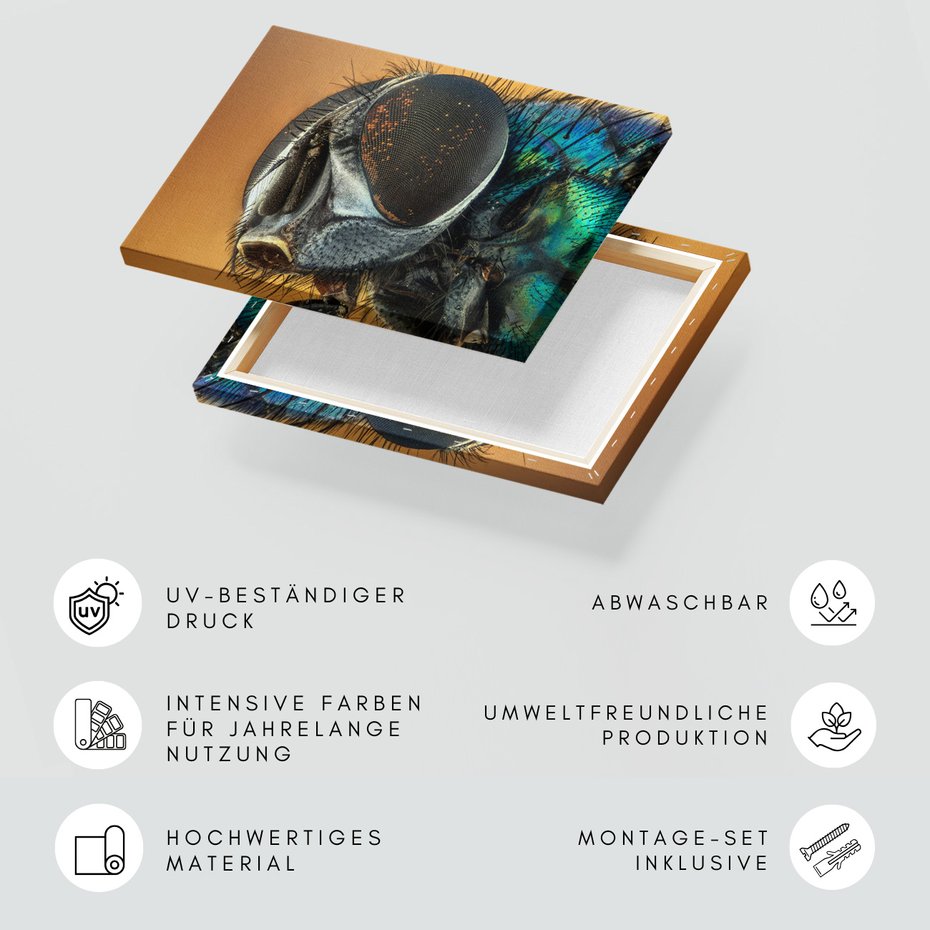 Obraz na płótnie - owad, mucha, makro