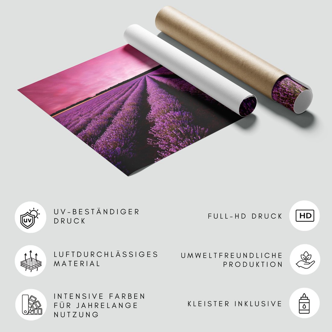 Fototapeta - lawenda, pole, krajobraz