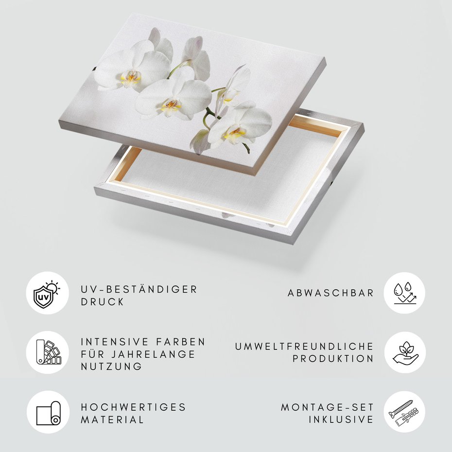 Obraz na płótnie - orchidee, kwiaty, białe,