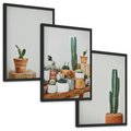Zestaw obrazy w ramie, plakaty - kaktusy, sukulenty, rośliny - rama czarna