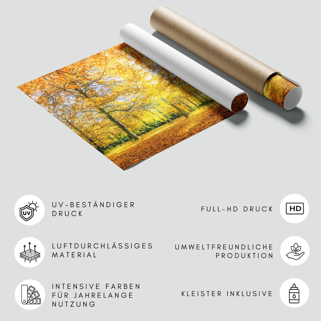 Fototapeta - jesień, liście, drzewa