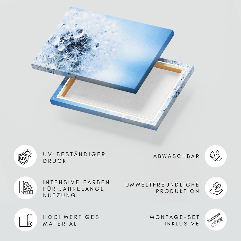 Obraz na płótnie - dmuchawiec, krople, natura