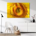 Obraz na płótnie - słonecznik, kwiat, żółty