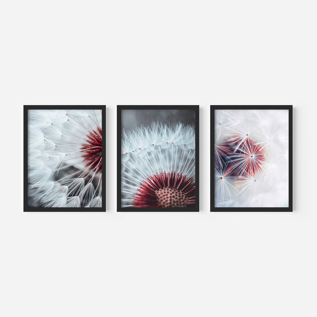 Zestaw obrazy w ramie, plakaty - dmuchawiec, natura, makro - rama czarna