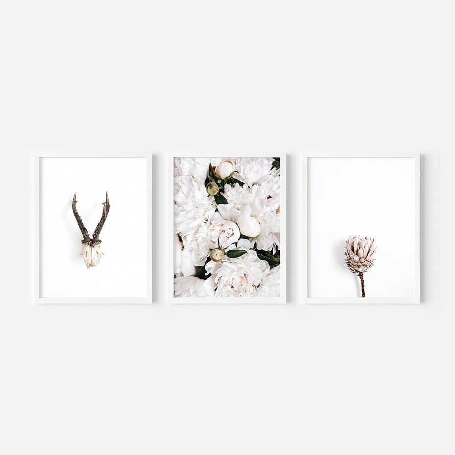 Zestaw obrazy w ramie, plakaty - kwiaty, minimalizm, roślina - rama biała