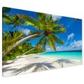 Obraz na płótnie - plaża, palmy, morze