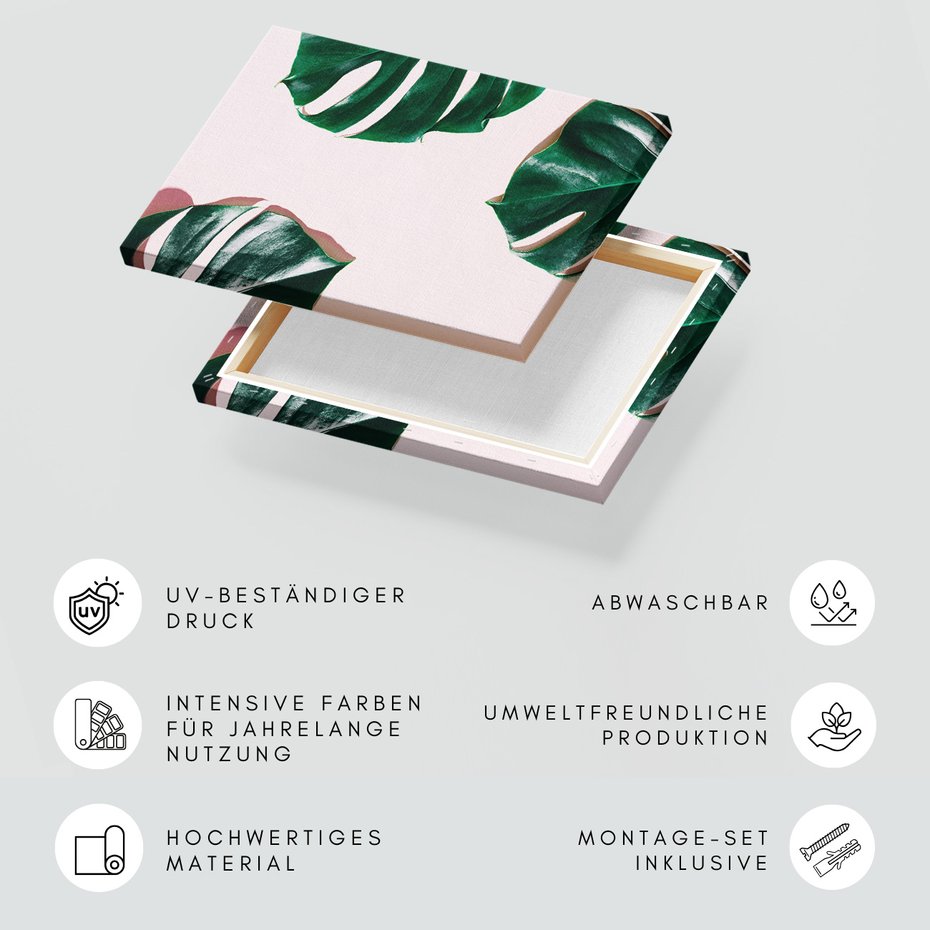 Obraz na płótnie - liście, monstera, roślina