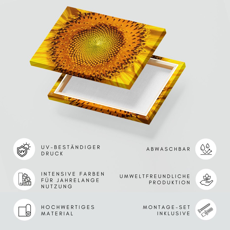 Obraz na płótnie - słonecznik, kwiat, zbliżenie