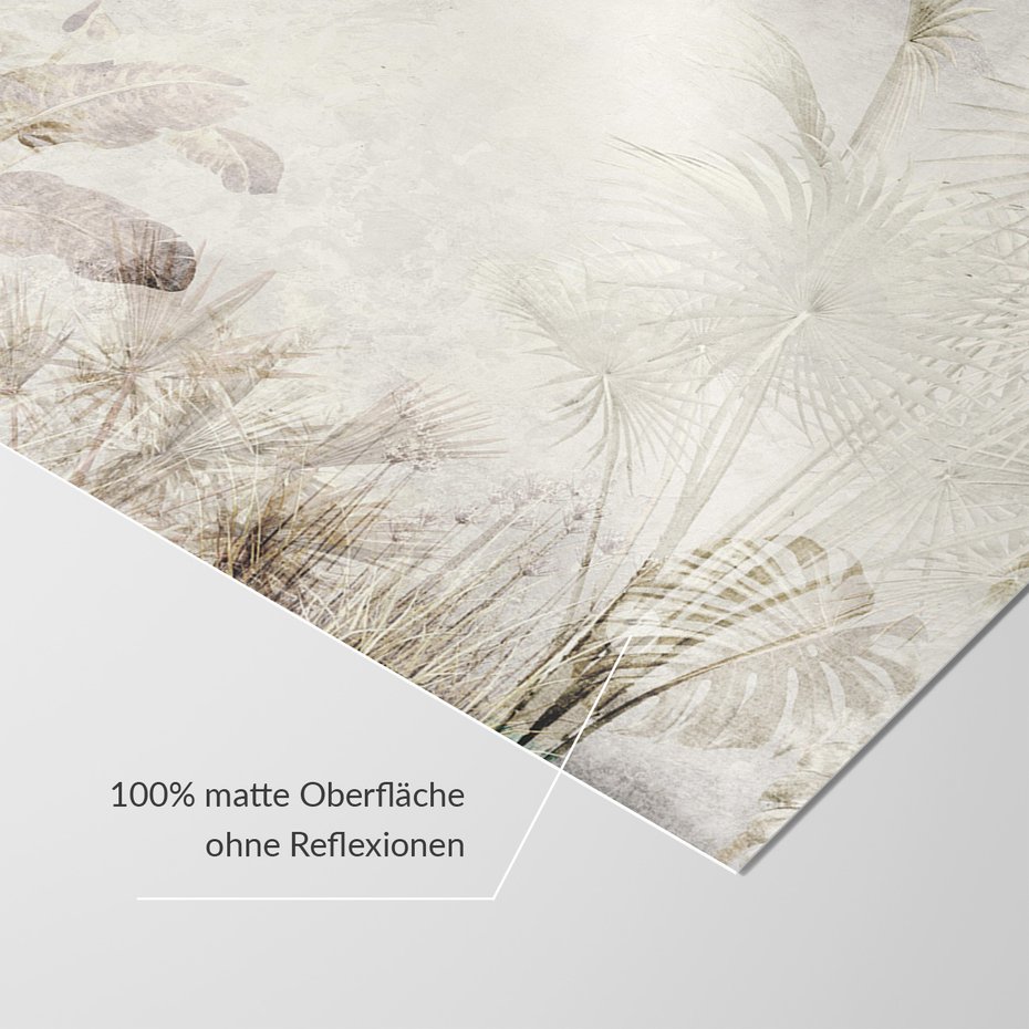 Fototapeta - beton, palmy, liście