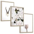 Zestaw obrazy w ramie, plakaty - kwiaty, minimalizm, roślina - rama drewno
