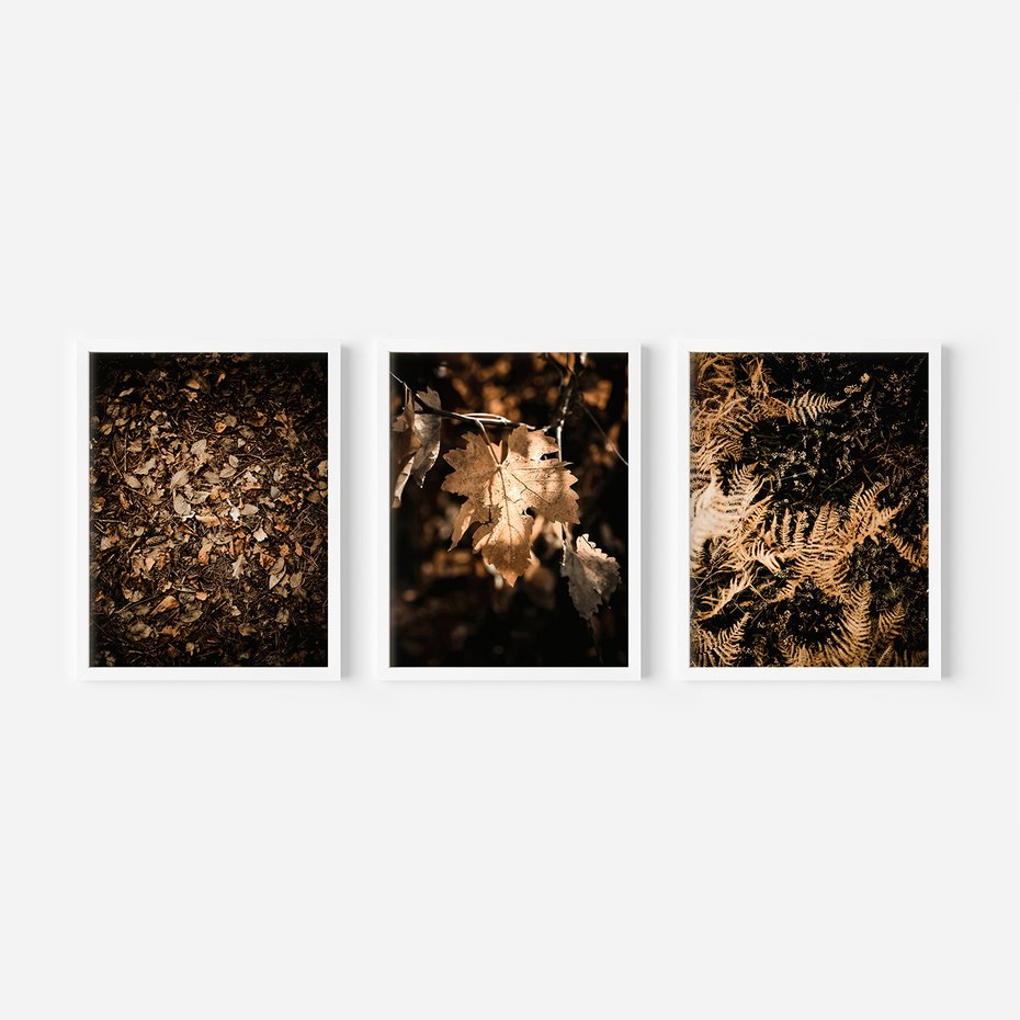 Zestaw obrazy w ramie, plakaty - liście, jesień, brązowy - rama biała