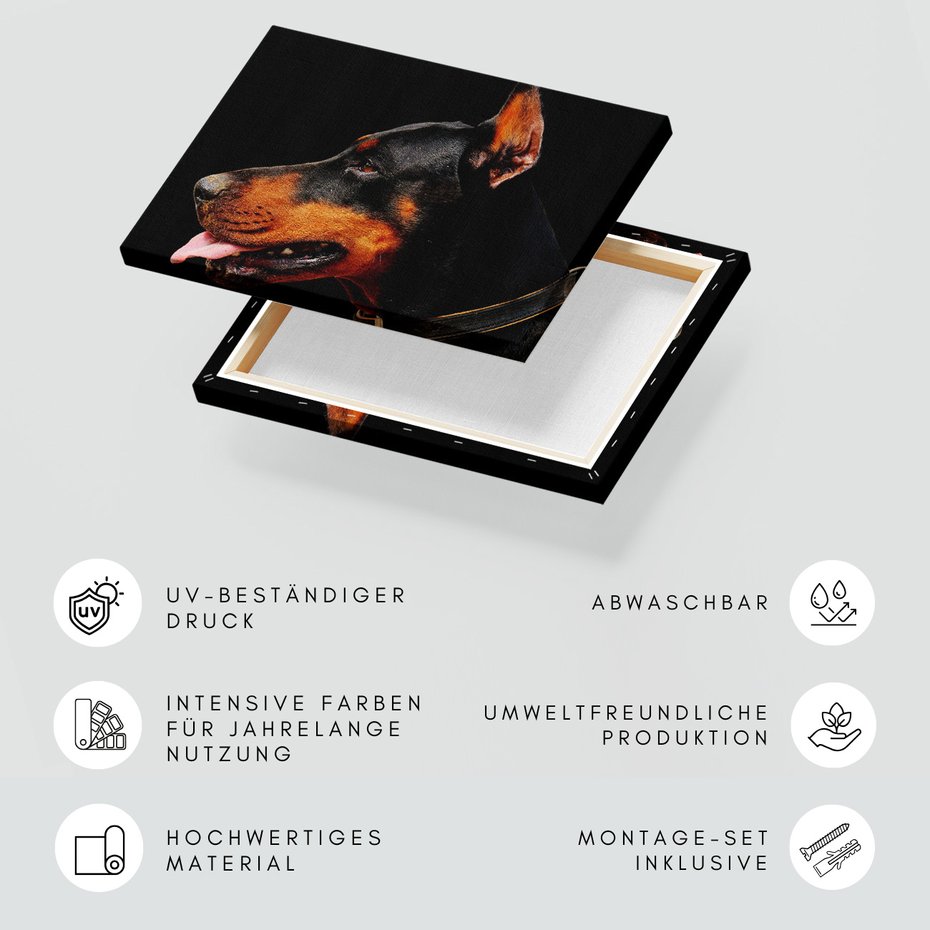 Obraz na płótnie - doberman, pies, portret