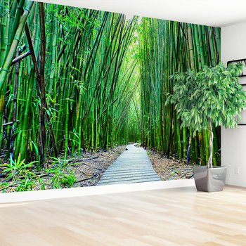 Fototapeta - bambus, las, ścieżka