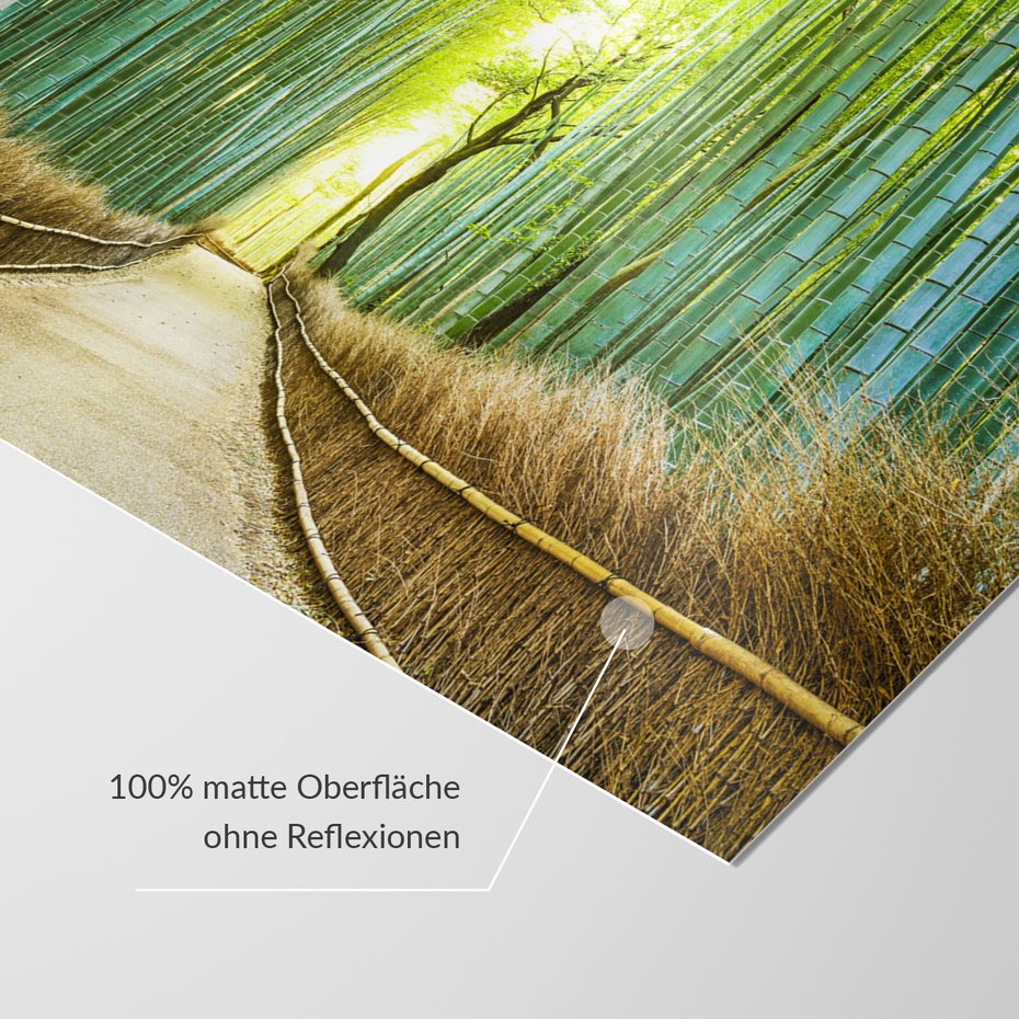 Fototapeta - bambus, las, ścieżka