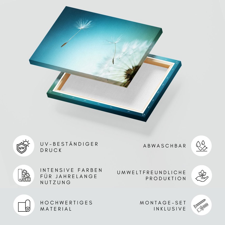 Obraz na płótnie - dmuchawiec, nasiona, natura