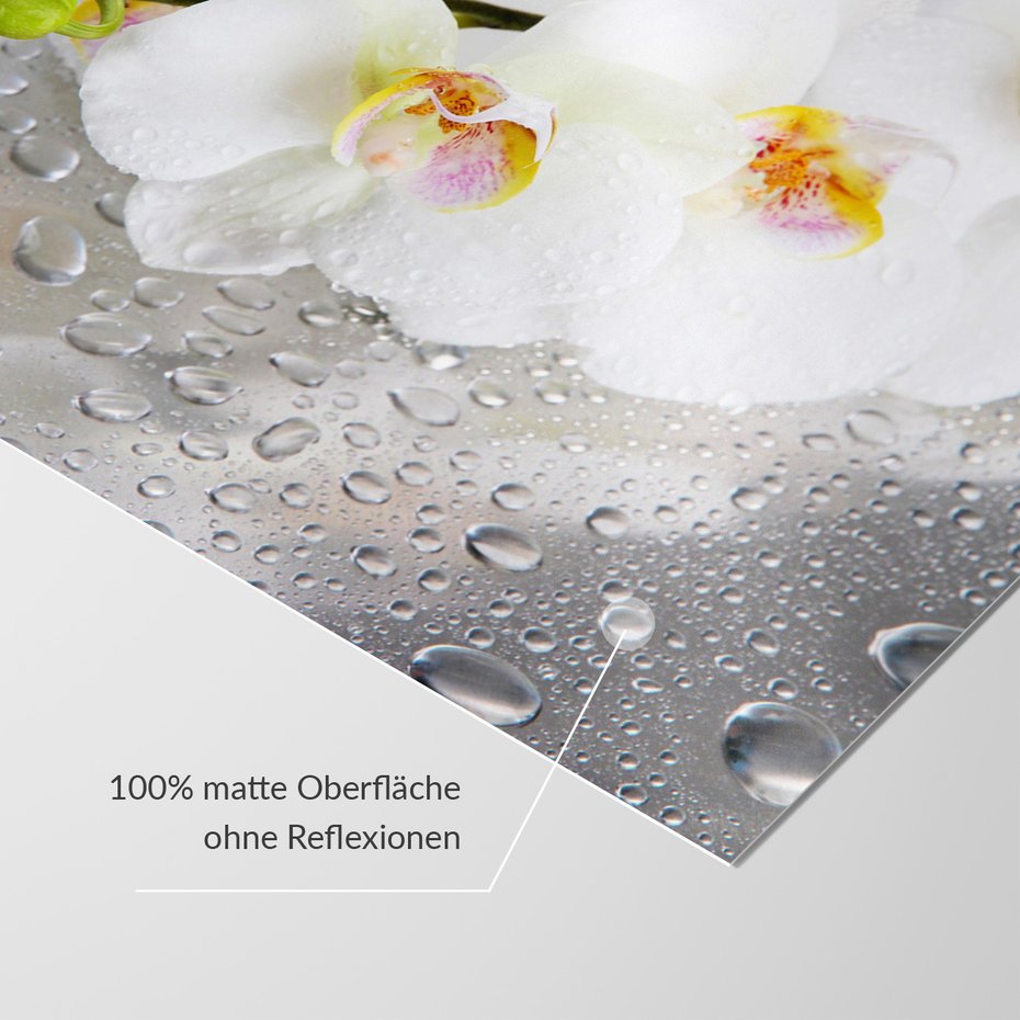 Fototapeta - kwiaty, orchidee, krople