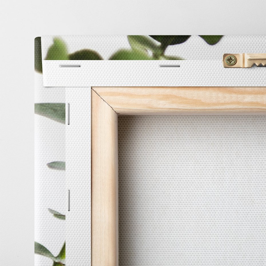 Obraz na płótnie - eukaliptus, liście, roślina