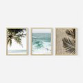 Zestaw obrazy w ramie, plakaty - palma, morze, cień - rama drewno