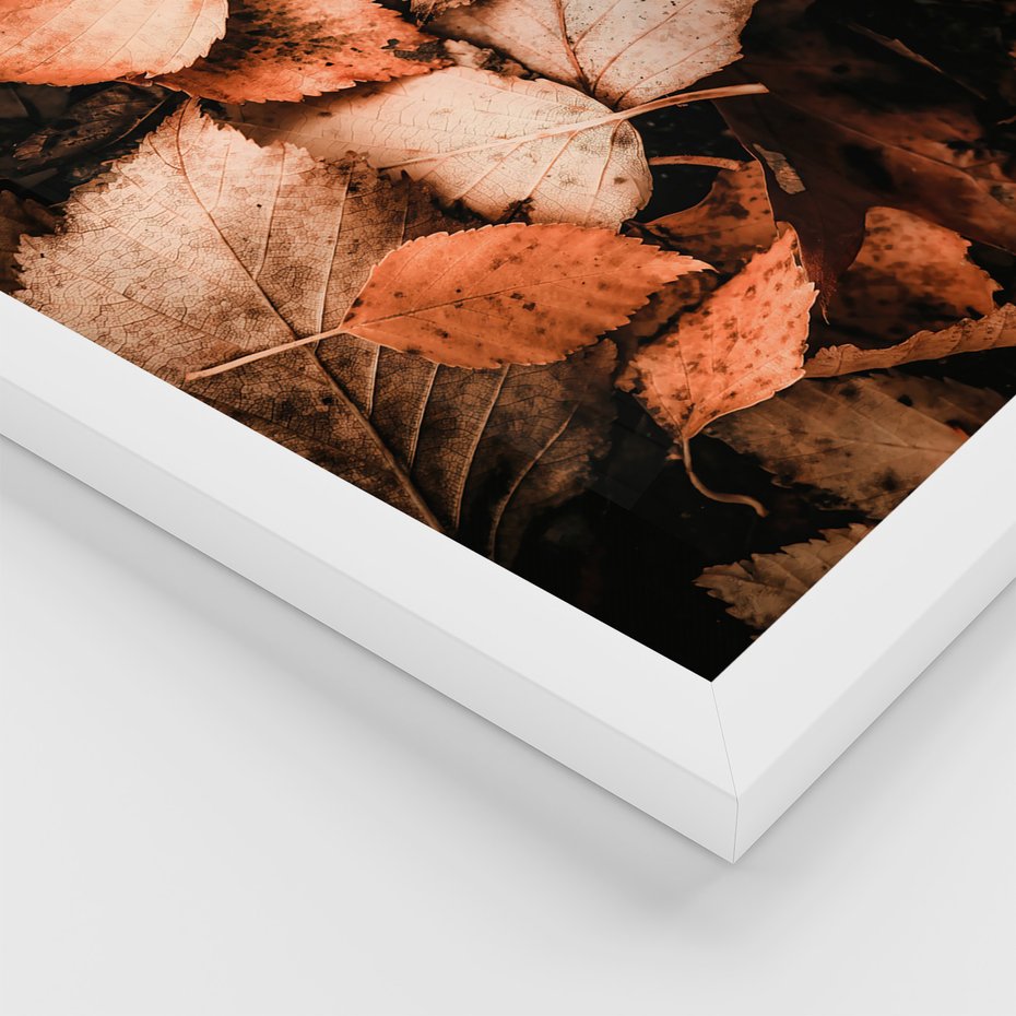 Zestaw obrazy w ramie, plakaty - liście,jesień,drzewa - rama biała