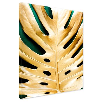 Obraz na płótnie - liść, złoto, monstera