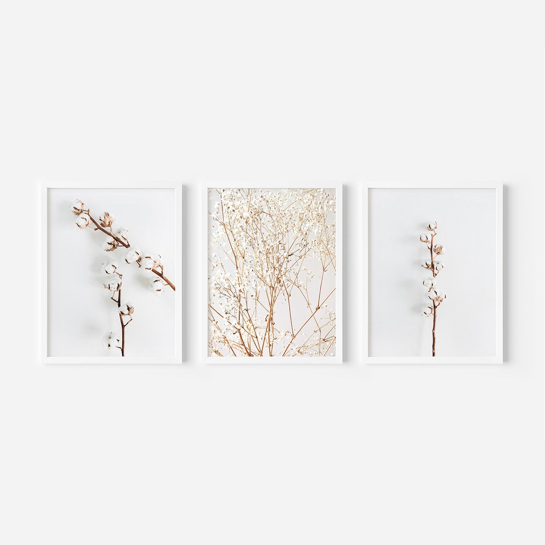 Zestaw obrazy w ramie, plakaty - bawełna, gałązki, delikatny - rama biała