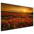 Obraz na płótnie - maki, pole, zachód słońca
