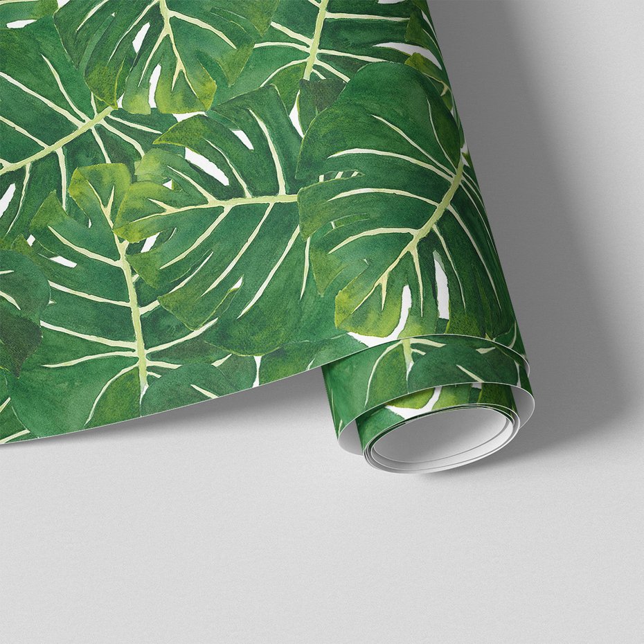 Tapeta - liście, monstera, natura