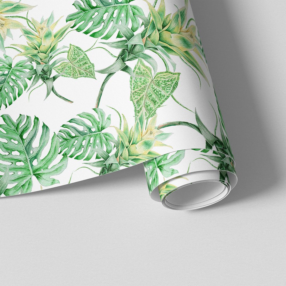 Tapeta - liście, rośliny, bromelia