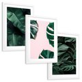 Zestaw obrazy w ramie, plakaty - liście, monstera, rośliny - rama biała