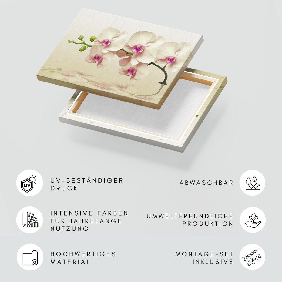 Obraz na płótnie - orchidee, kwiaty, elegancja