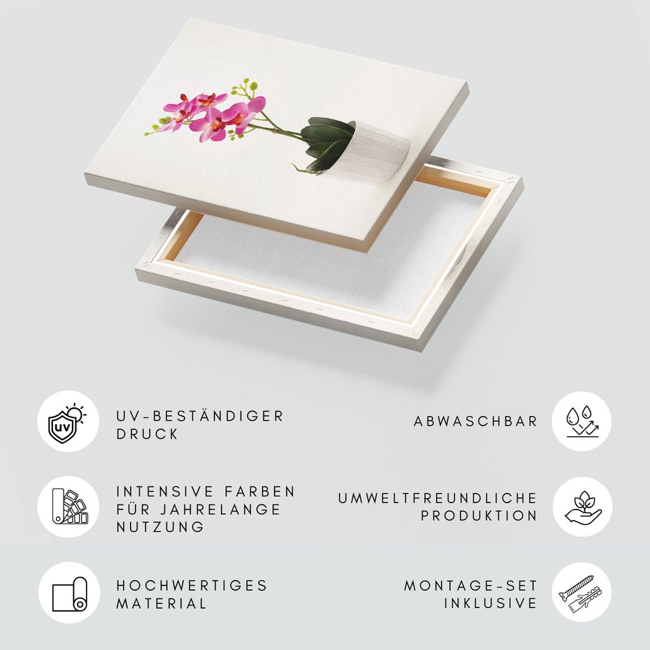 Obraz na płótnie - kwiat, doniczka, roślina