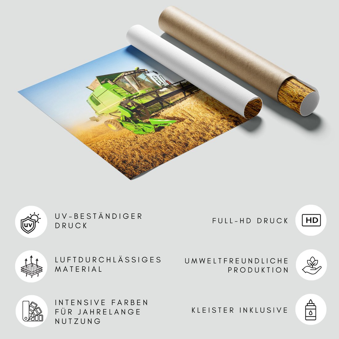 Fototapeta - żniwa, kombajn, pole