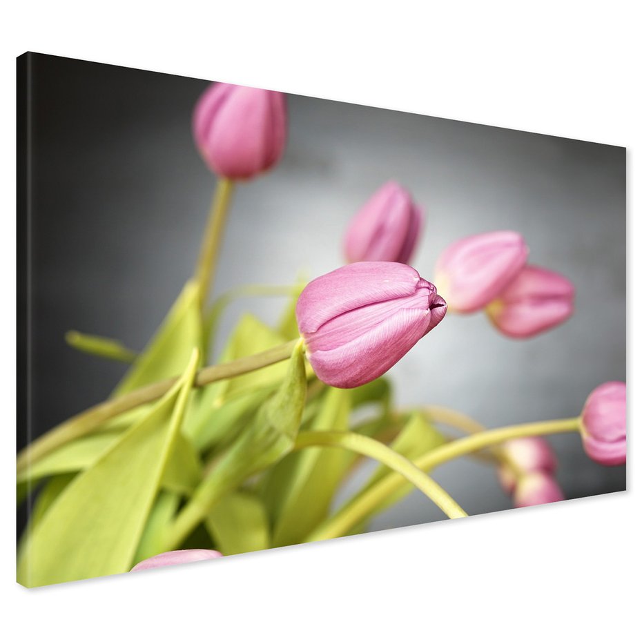 Obraz na płótnie - tulipany, kwiaty, różowe