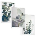 Zestaw obrazy w ramie, plakaty - eukaliptus, liście, gałązki - rama biała
