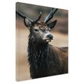 Obraz na płótnie - jeleń, zwierzę, natura
