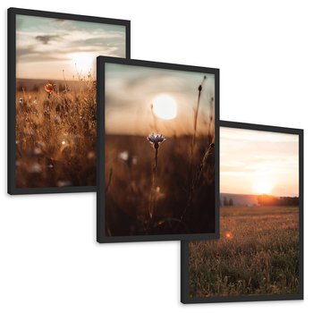 Zestaw obrazy w ramie, plakaty - pole, kwiaty, słońce - rama czarna