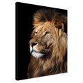 Obraz na płótnie - lew, portret, drapieżnik