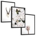 Zestaw obrazy w ramie, plakaty - kwiaty, minimalizm, roślina - rama czarna