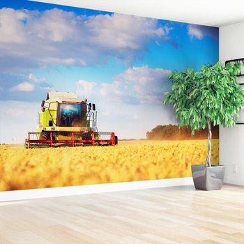 Fototapeta - kombajn, zboże, pole