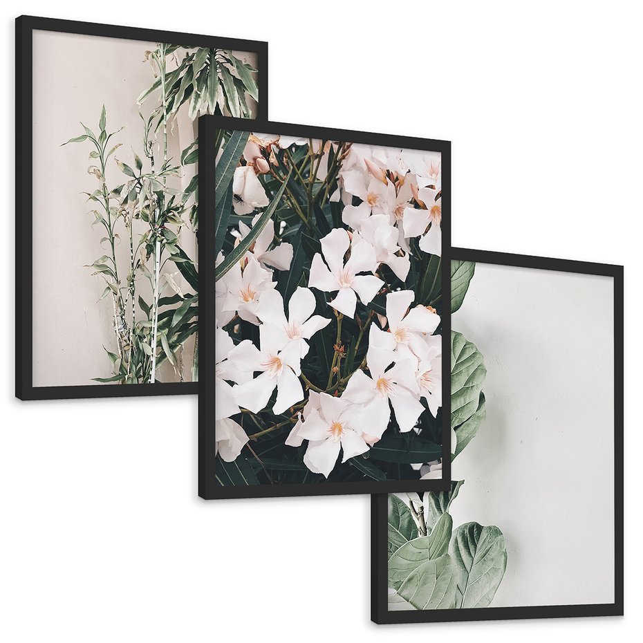Zestaw obrazy w ramie, plakaty - rośliny, kwiaty, liście - rama czarna