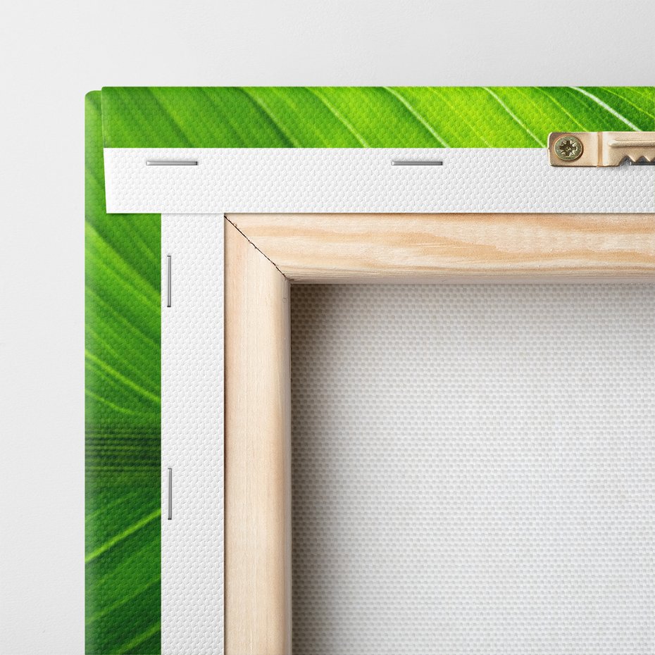 Obraz na płótnie - liść, zieleń, natura