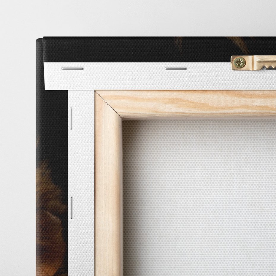 Obraz na płótnie - lew, portret, zwierzę