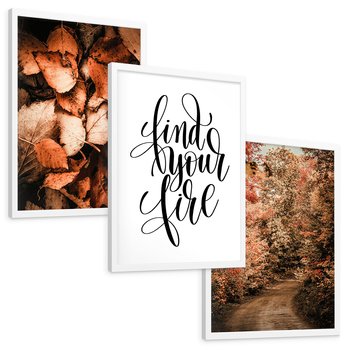 Zestaw obrazy w ramie, plakaty - jesień, liście, las - rama biała