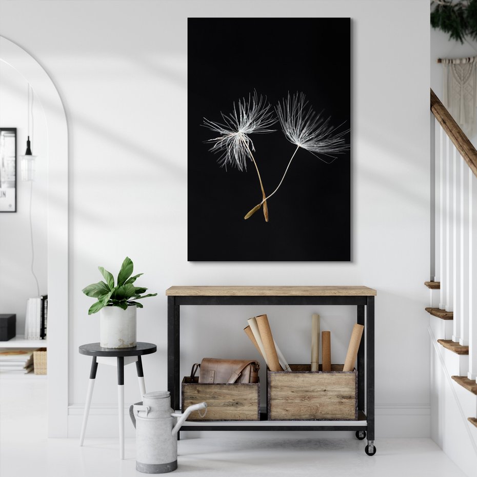 Obraz na płótnie - dandelion, nasiona, natura