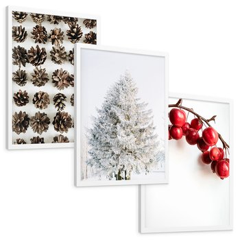 Zestaw obrazy w ramie, plakaty - szyszki, jabłka, zima - rama biała