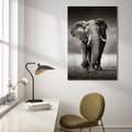 Obraz na płótnie - słoń, afrykański, ssak