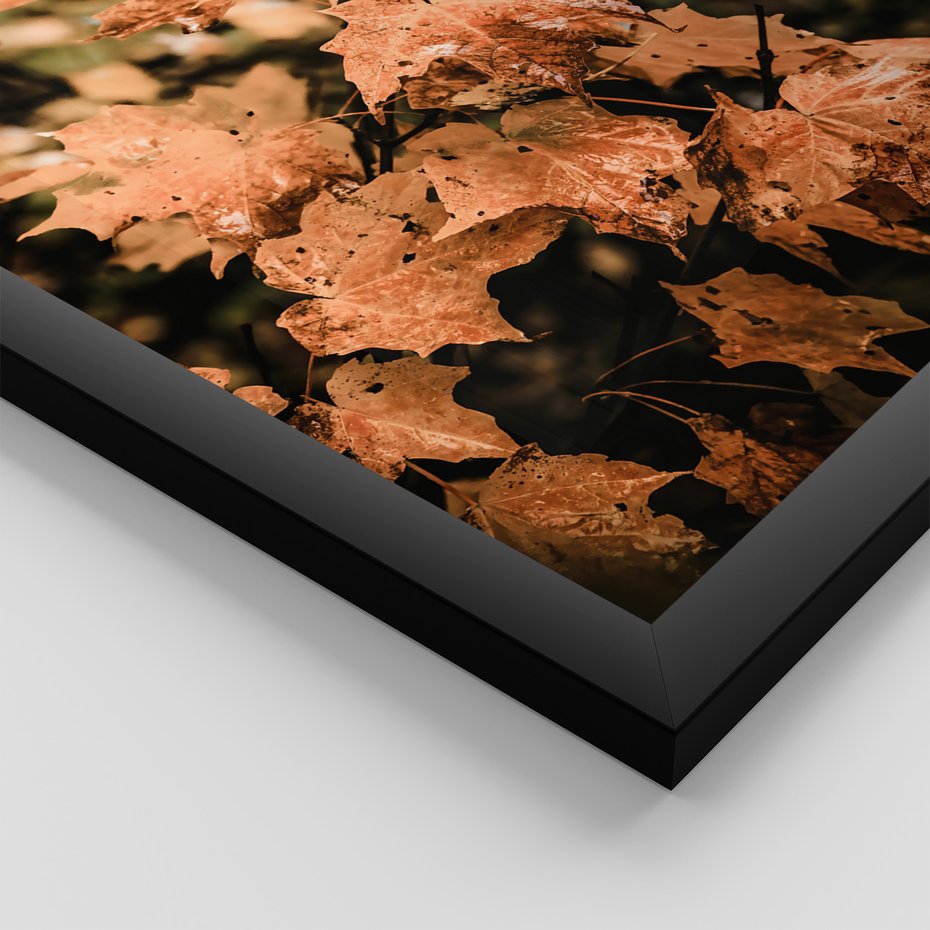 Zestaw obrazy w ramie, plakaty - liście, jesień, droga - rama czarna